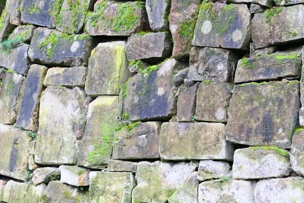 Каменная Стена Растущей Мрамором — стоковое фото