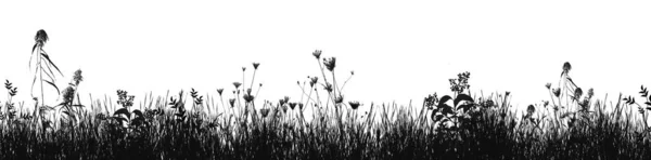 Greyscale Illustration Lot Bushes Plants Grassy Field — Stock Photo, Image