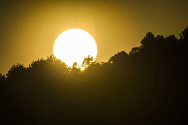 Силуэт Деревьев Солнца Оранжевом Небе — стоковое фото