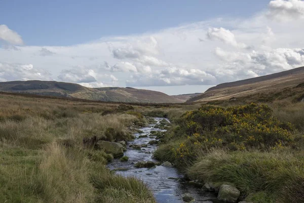 Rivierlandschap Met Fris Water Een Groene Vallei Een Zonnige Dag — Stockfoto