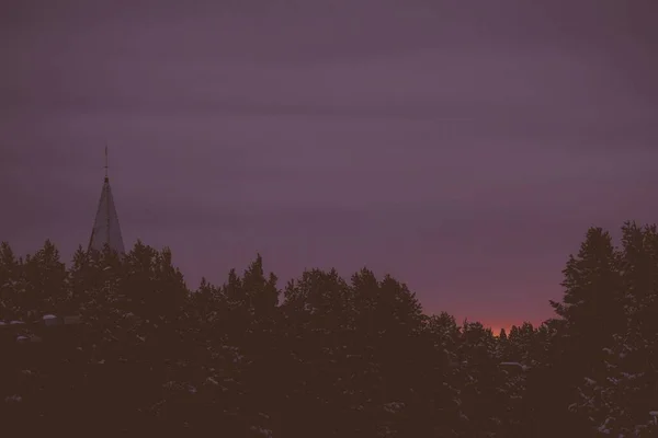 紫色の空の下で森の美しい風景 壁紙に最適 — ストック写真