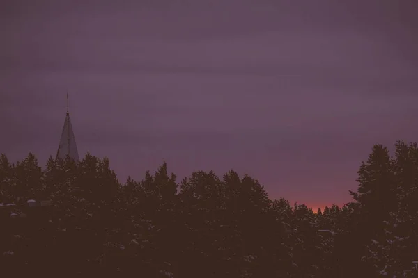 Bellissimo Paesaggio Una Foresta Sotto Cielo Viola Perfetto Una Carta — Foto Stock