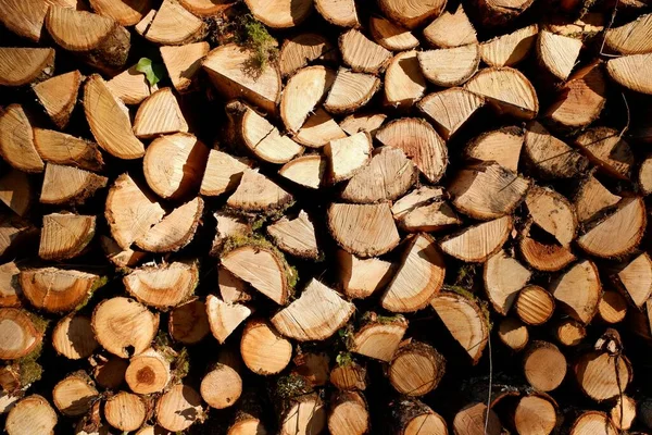 Ein Stapel Gehäckseltes Brennholz Für Den Kalten Winter — Stockfoto
