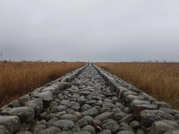 Высокоугольный Снимок Каменной Дороги Посреди Пшеничного Поля — стоковое фото