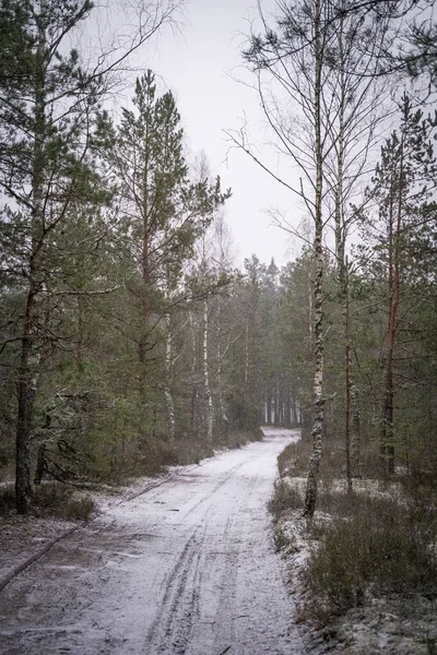 stock image A vertical high angle shot of a snowy path surrounded by tall trees in the forest