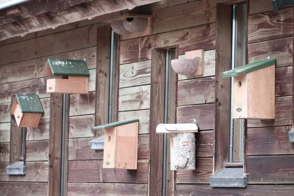 Enfoque Selectivo Las Casas Pájaros Edificio — Foto de Stock