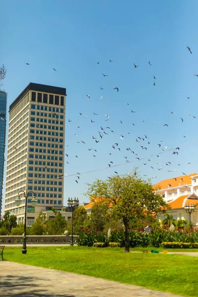 Sebuah Gambar Vertikal Dari Gedung Kantor Modern Dengan Sekawanan Burung — Stok Foto