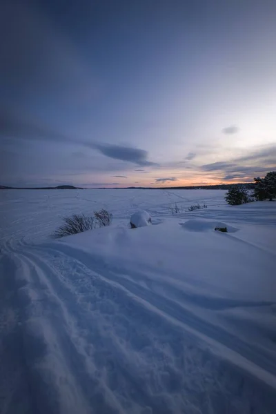Gün Batımında Karla Kaplı Bir Yerdeki Yapraksız Ağaçların Güzel Manzarası — Stok fotoğraf