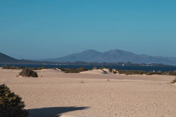 Eine Sandige Landschaft Mit Einer Wunderschönen Bergkette Hintergrund — Stockfoto
