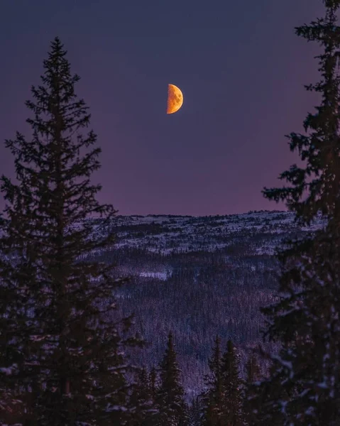 Hills Covered Trees First Quarter Moon Sky Evening — Stock Photo, Image