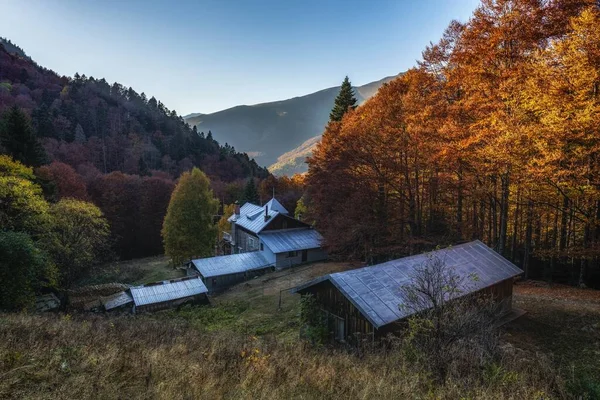 Angle Élevé Des Fermes Dans Les Montagnes Avec Des Arbres — Photo