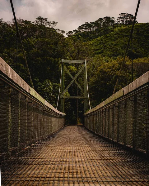 Puente Peatonal Madera Rodeado Árboles Árboles — Foto de Stock