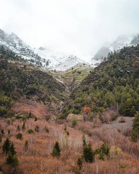 Montagne Innevate Foresta Colorata Una Giornata Nuvolosa Invernale — Foto Stock