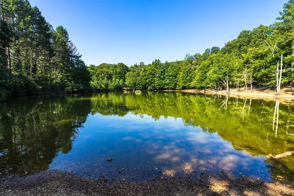 Pittoresk Liten Sjö Umbra Forest Gargano Apulien Italien — Stockfoto