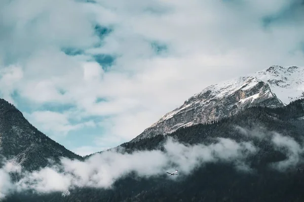 Zbliżenie Ujęcia Górskiego Siodła Sosnami Pod Zachmurzonym Niebem — Zdjęcie stockowe