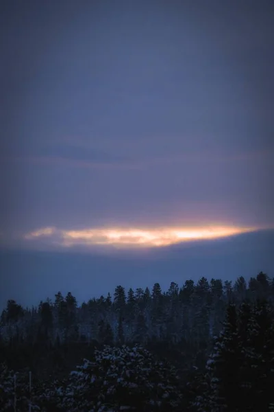Вертикальний Знімок Сніжного Лісу Темне Небо Заходу Сонця Задньому Плані — стокове фото