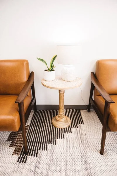 Vertical Shot Two Brown Chairs Living Room White Lamp Houseplant — Stock Photo, Image