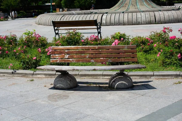Скамейка Парке Рядом Цветком — стоковое фото
