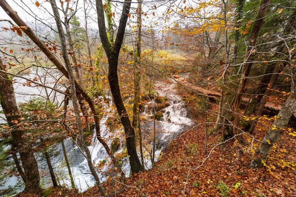 Hırvatistan Plitvice Gölleri Ulusal Parkı Ndaki Sonbahar Ormanları Kısa Şelalelerin — Stok fotoğraf