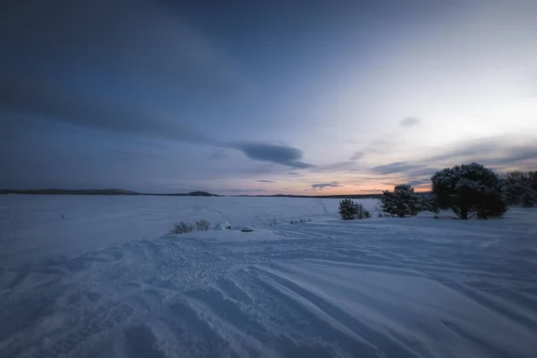 夕暮れ時の雪に覆われた土地には 多くのチラシの木の美しい景色 — ストック写真