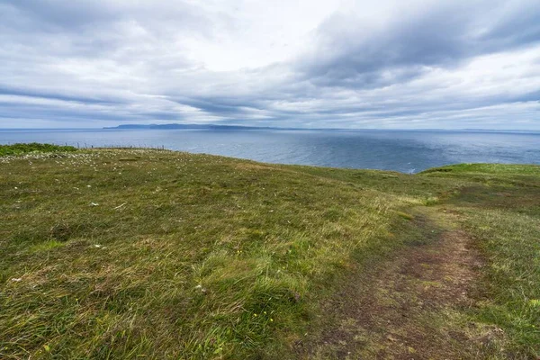 Étroit Sentier Pédestre Sur Côte Mer Nord Près Dunnet Head — Photo