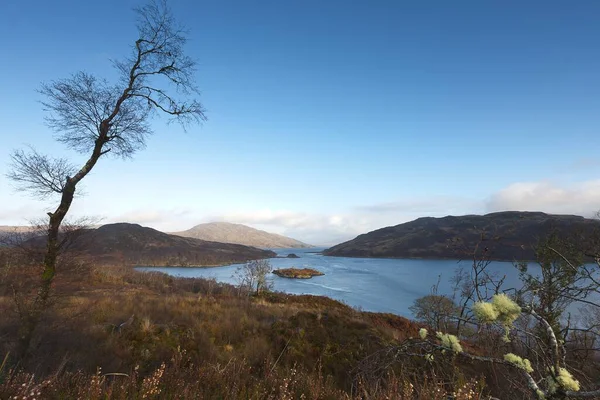 Beautiful Shot Lake Shore Trees Scottish Highlands Blue Sky — Stock Photo, Image