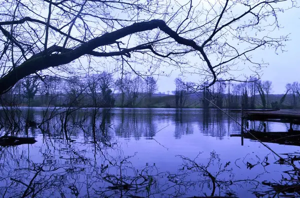 水に映る木々が美しい湖の景色 — ストック写真