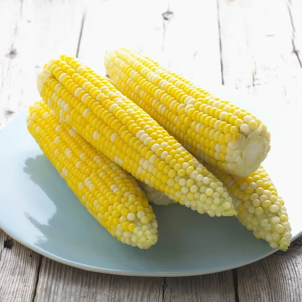 Boiled Corns Cob Blue Plate — Stock Photo, Image