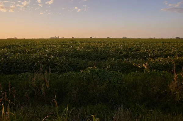 農業地帯に沈む夕日の風景 — ストック写真
