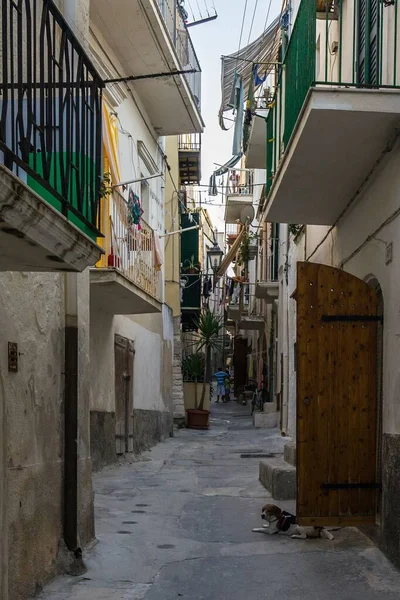 Tiro Longo Beco Centro Histórico Vieste Apúlia Itália — Fotografia de Stock