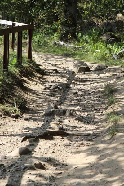 Tiro Ángulo Bajo Sendero Tierra Largo Una Valla Lugar Senderismo —  Fotos de Stock