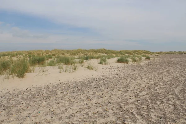 Tiro Panorâmico Paisagem Arenosa Com Gramíneas Sob Céus Nublados Skagen — Fotografia de Stock