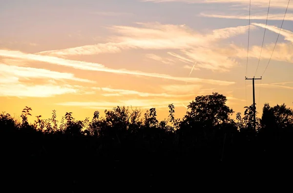 Una Silueta Árboles Con Bellos Paisajes Puesta Sol Cielo — Foto de Stock