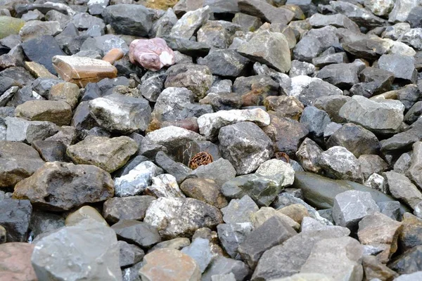 High Angle Closeup Shot Stones Spread Ground — Stock Photo, Image