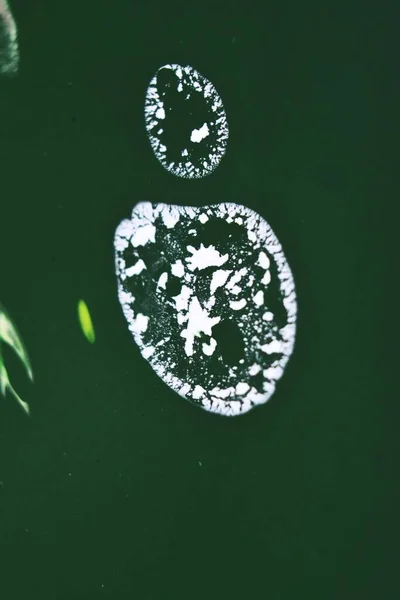 Yeşil Sudaki Beyaz Boyanın Dikey Görüntüsü — Stok fotoğraf