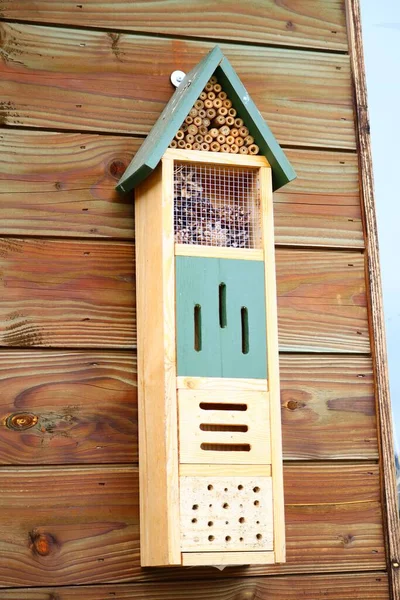 Een Verticaal Schot Van Een Houten Vogelhuisje Gehecht Aan Het — Stockfoto