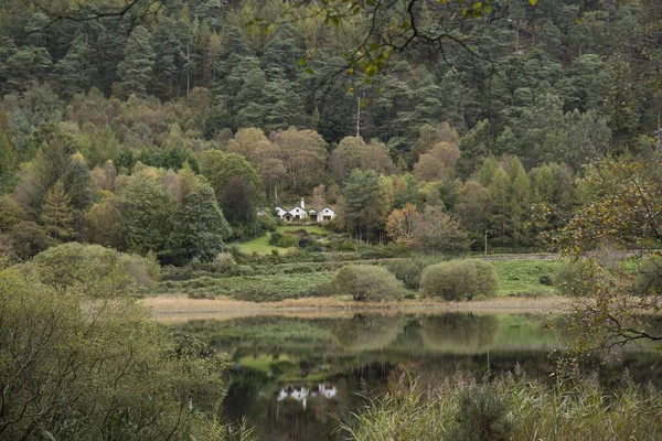 Paisagem Uma Floresta Exuberante Verde Dia Outono Irlanda Sul — Fotografia de Stock