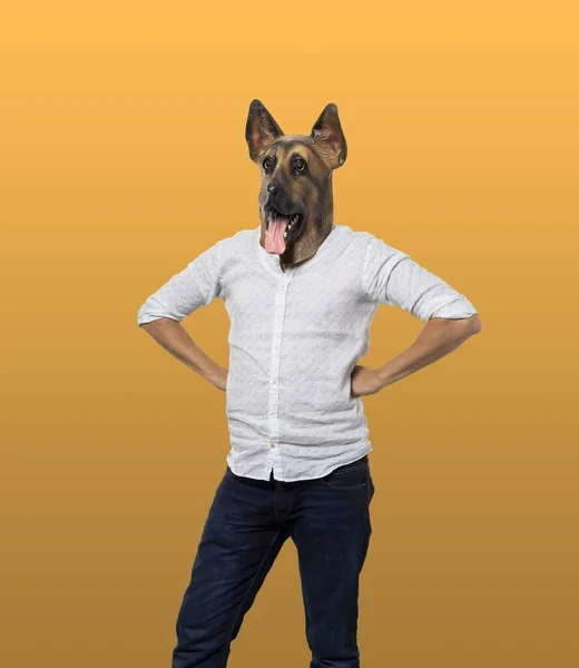 腰に手を差して黄色い背景の犬のマスクをした男 — ストック写真