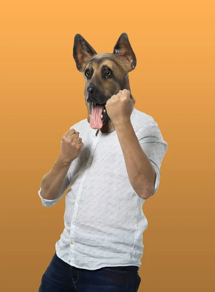 一个穿着休闲装 戴着狗面具 在橙色背景下展示力量的人 — 图库照片
