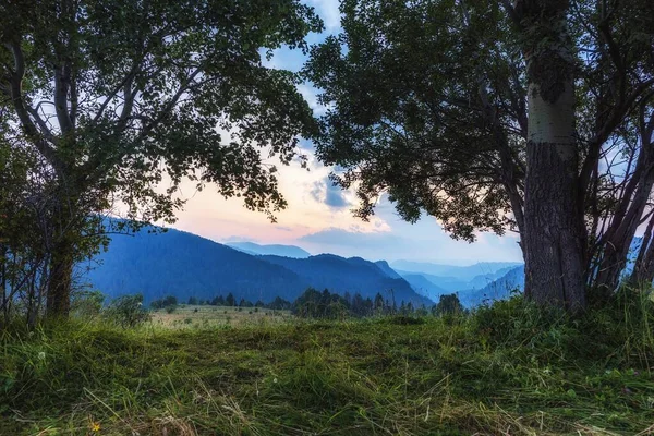 Bomen Groene Heuvels Met Prachtige Zonsondergang Hemel Achtergrond — Stockfoto