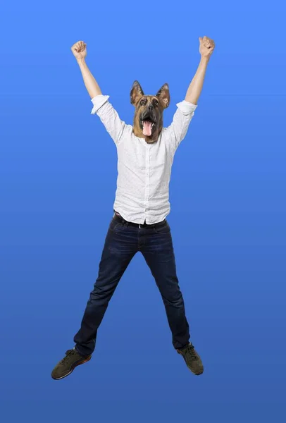 Sıradan Giyinmiş Elleri Mavi Arka Planda Olan Bir Köpek Maskesi — Stok fotoğraf