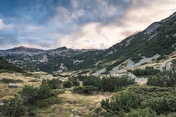 Bukit Bukit Berbatu Dengan Pohon Hijau Dari Pirin Gunung Bulgaria — Stok Foto