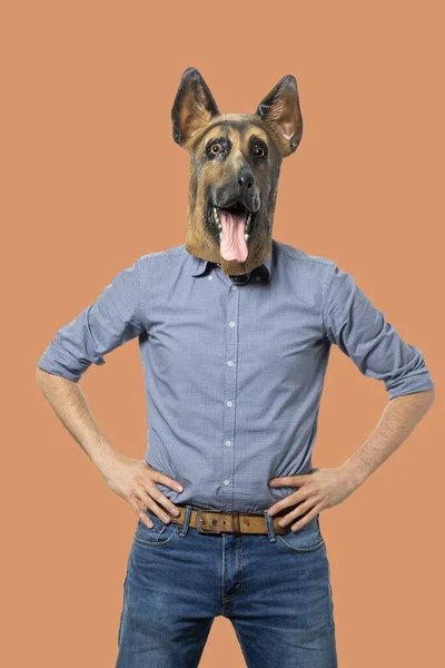 Vertical Shot Male Dog Mask Holding Hands Waist — Stock Photo, Image