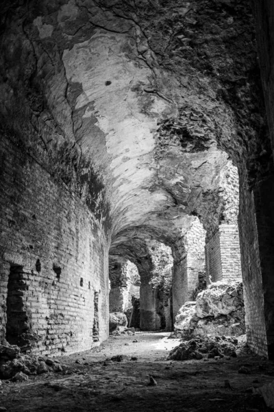 Vertical Greyscale Shot Ruins Old Building — Stock Photo, Image