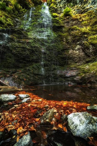 Vertical Shot Beautiful Autumn Nature Scenery Leaves Fallen Stones Lake — Stock Photo, Image