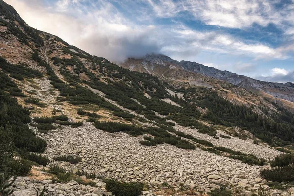 Bukit Bukit Berbatu Dengan Pohon Hijau Dari Pirin Gunung Bulgaria — Stok Foto
