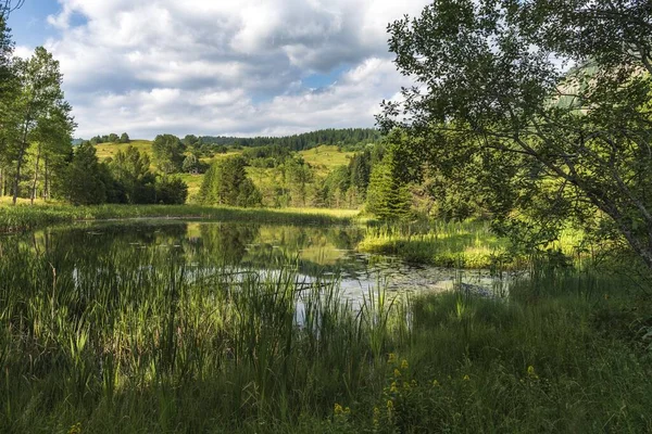 Bellissimo Lago Immerso Nel Verde Tra Montagne Sotto Cielo Nuvoloso — Foto Stock