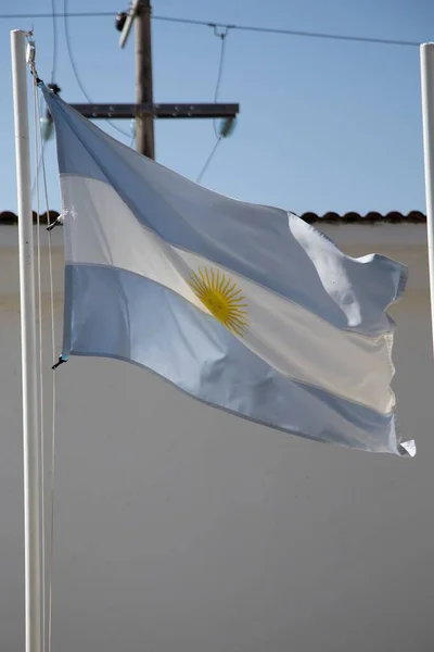 Güneş Işığı Mavi Gökyüzünün Altındaki Arjantin Bayrağının Dikey Bir Resmi — Stok fotoğraf