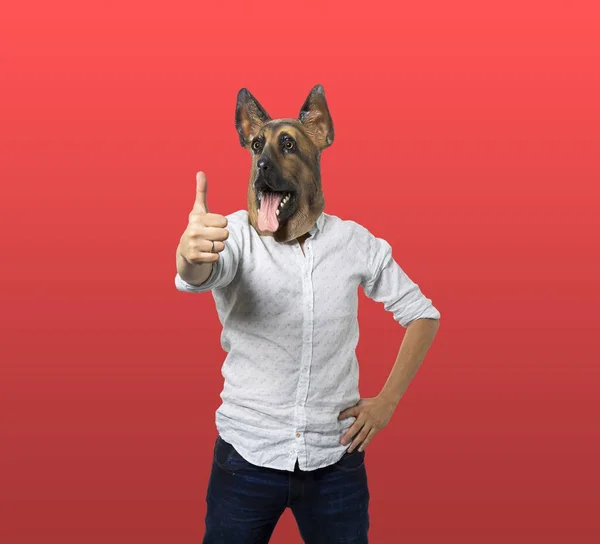 Мужчина Маске Собаки Красным Фоном — стоковое фото
