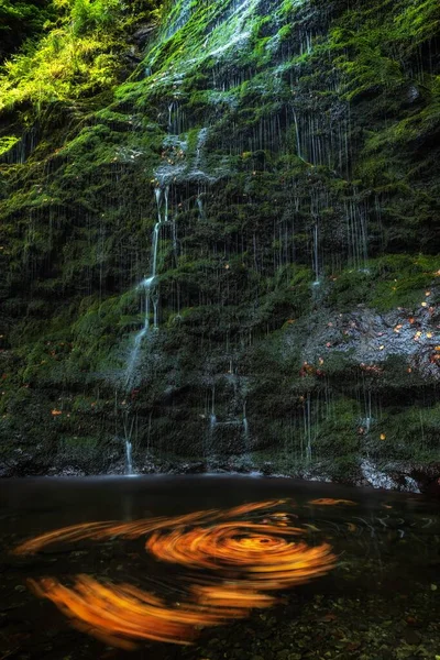 Vertical Shot Autumnal Scenery Whirlpool Leaves River Small Waterfall Background — Stockfoto